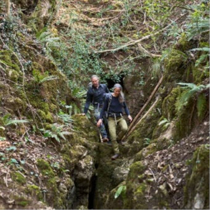 Vivobarefoot tracker forêt esc hommes Hommes B0X278 fougère